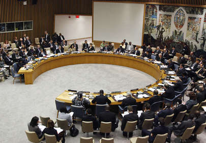 Security Council - UN Photo/Evan Schneider