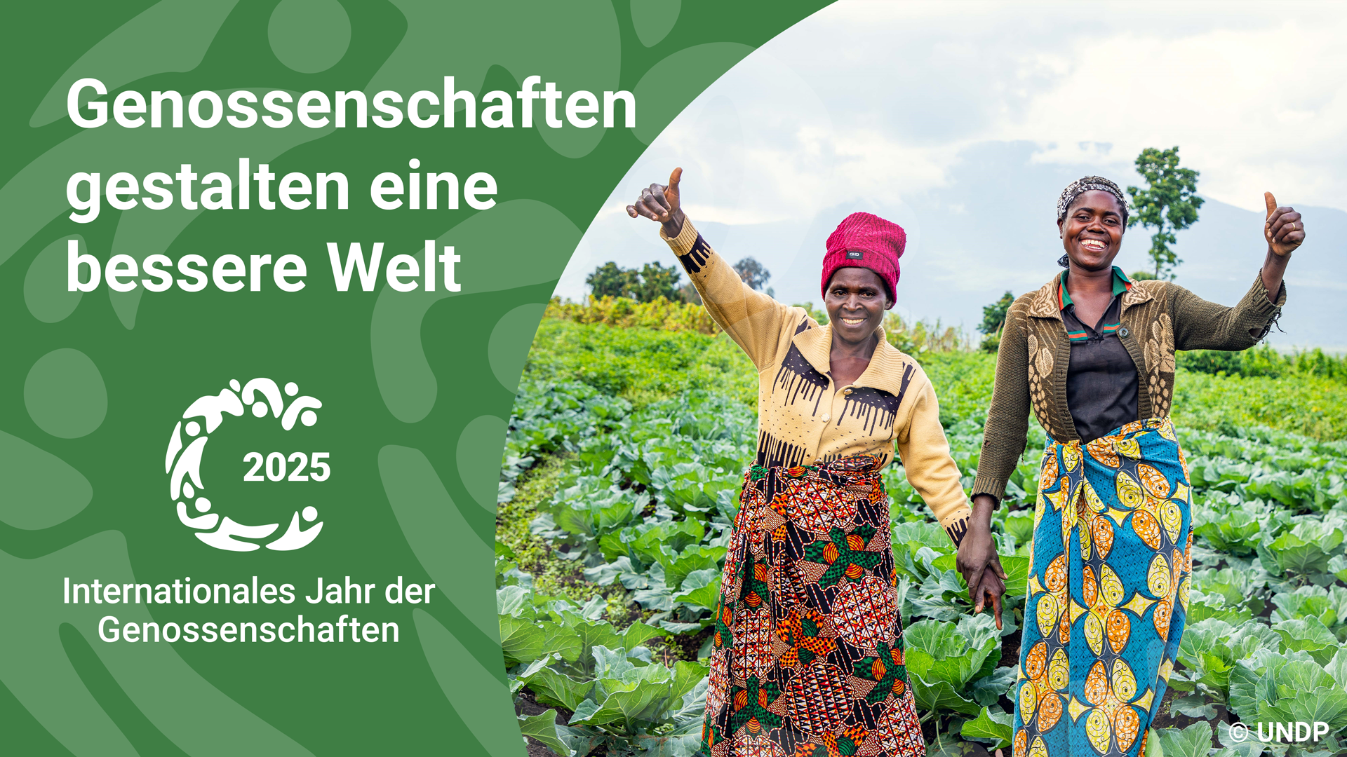 /unis/uploads/res/slideshow/2025/international-year-of-cooperatives-2025_html/IYC-2025-Social-Media-Card_1920x1080-green_DE_tagline.png