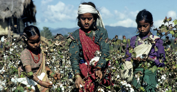Farming for Development - UN Photo/Ray Witlin 