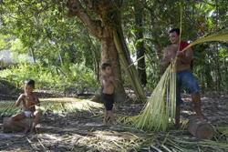 UN Photo/Eskinder Debebe - National Tapajos Forest Residents Build House
