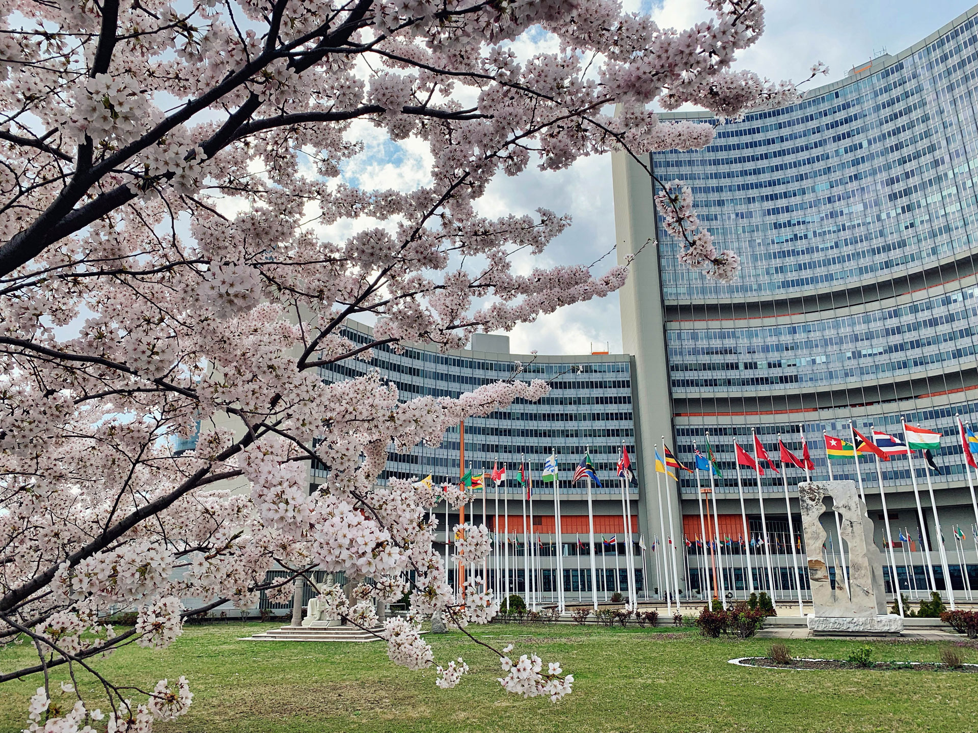Vienna International Centre exterior with cherry blossoms in foreground